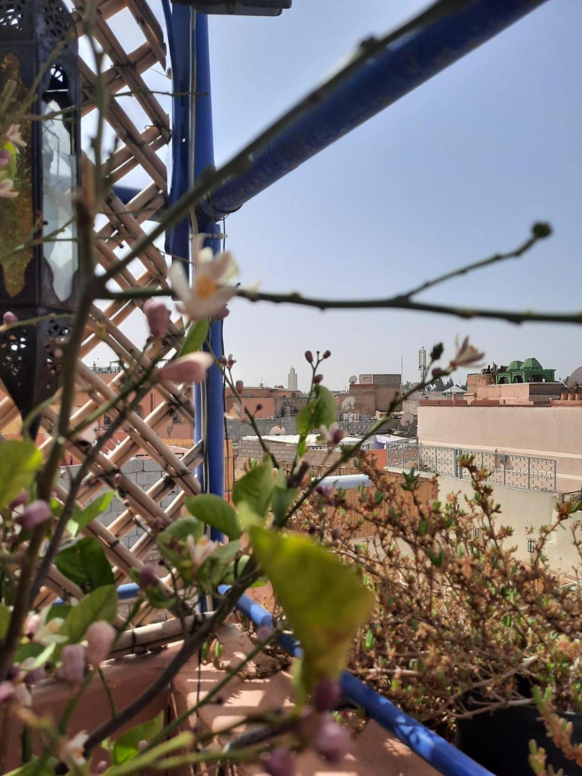 Dar Khalid Appartement Marrakesh Buitenkant foto
